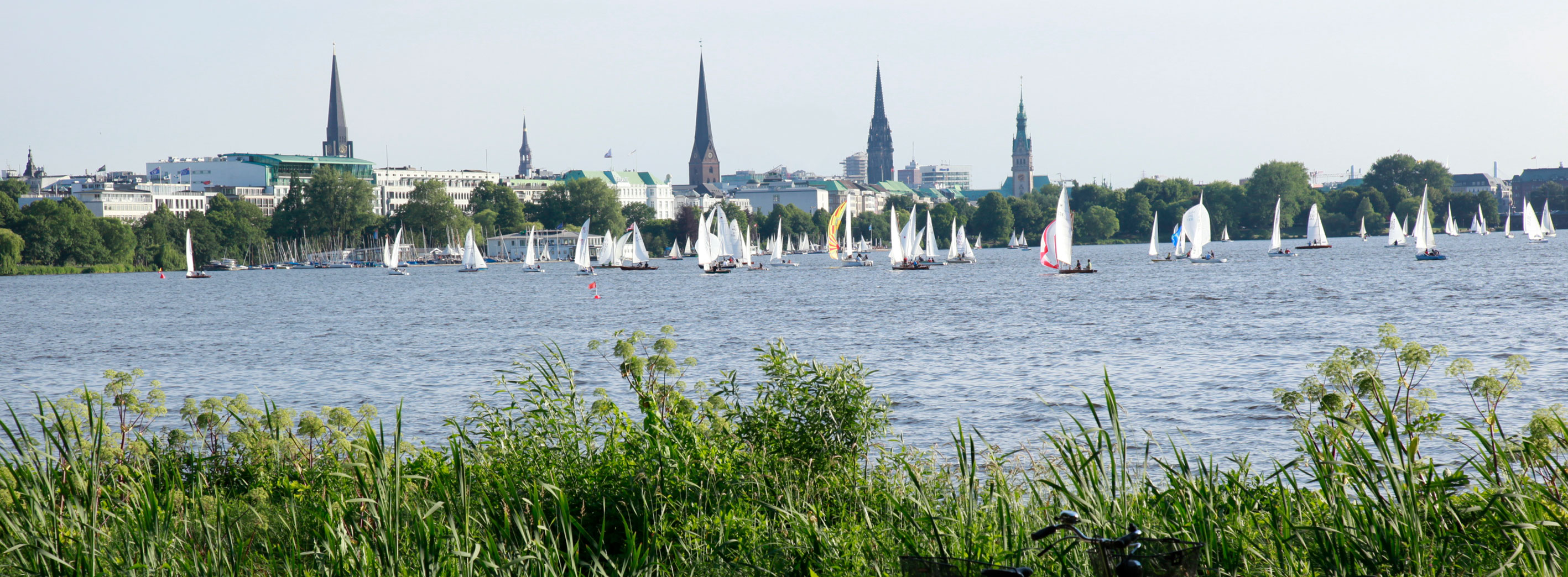 Blue Jumbuck Consulting Hamburg